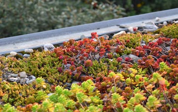 the cost of Llanfair Waterdine green roof installation