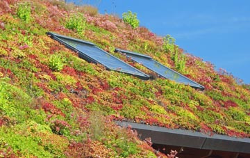 Llanfair Waterdine living roof systems