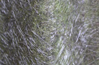 Llanfair Waterdine fibreglass roof work